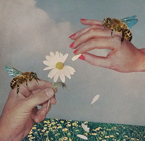 Collage floral : abeilles butinant des fleurs mellifères, évocation du parrainage de ruches et de la biodiversité